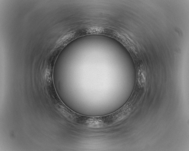 X0000116480714200912091400