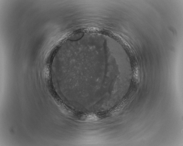 X0000116480715200912091400