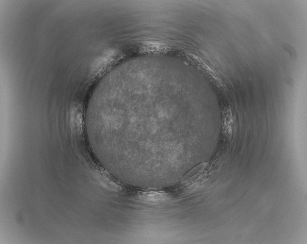 X0000116480716200912091400