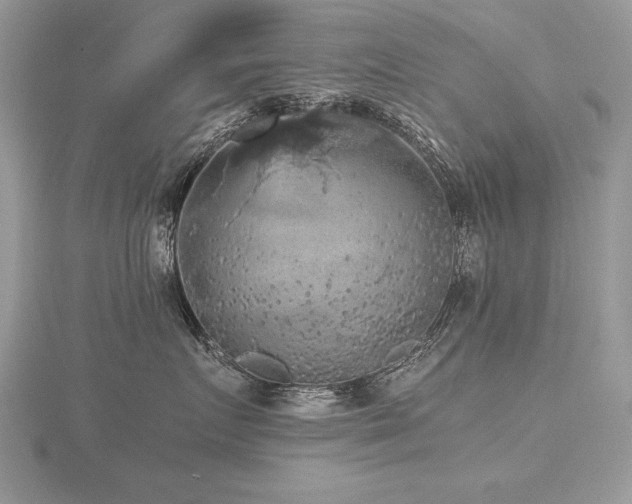 X0000116480719200912091400