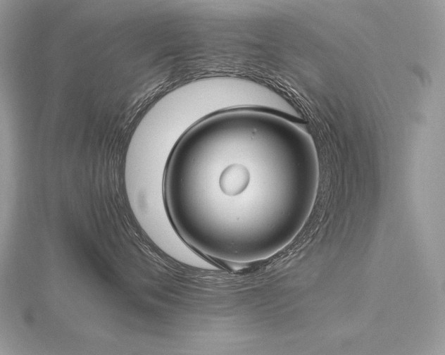 X0000116480720200912091400