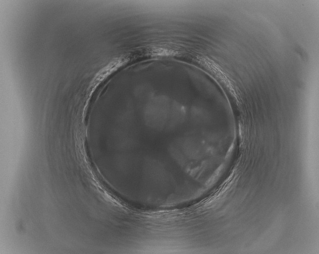 X0000116480721200912091359