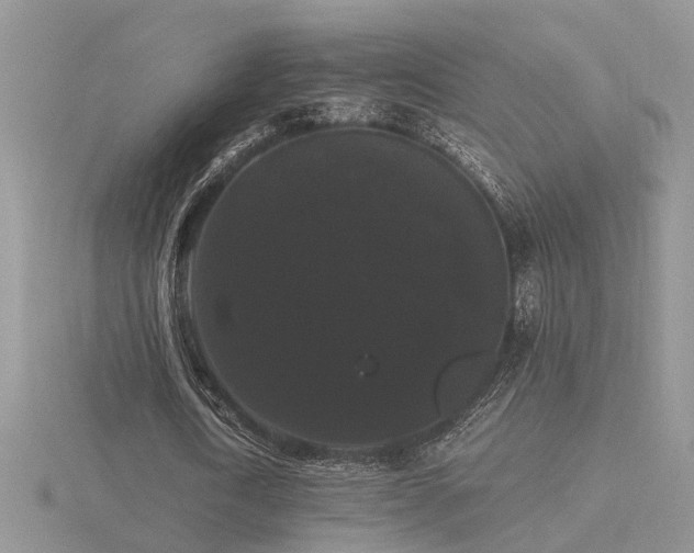 X0000116480722200912091359