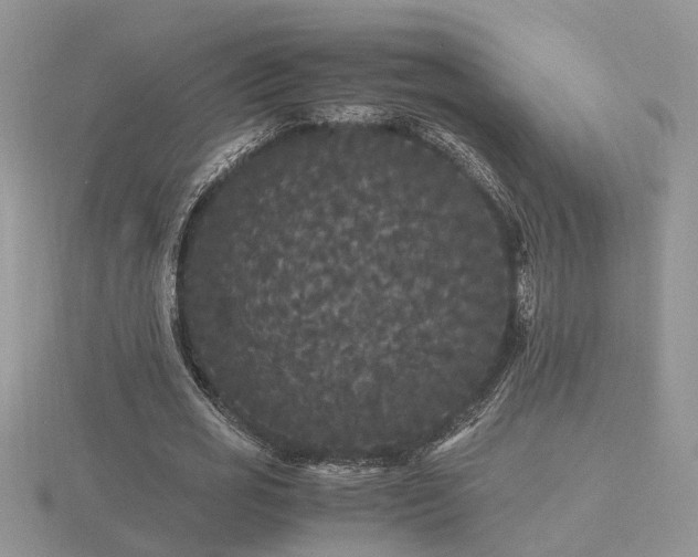 X0000116480725200912091359