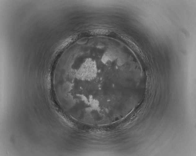 X0000116480729200912091359