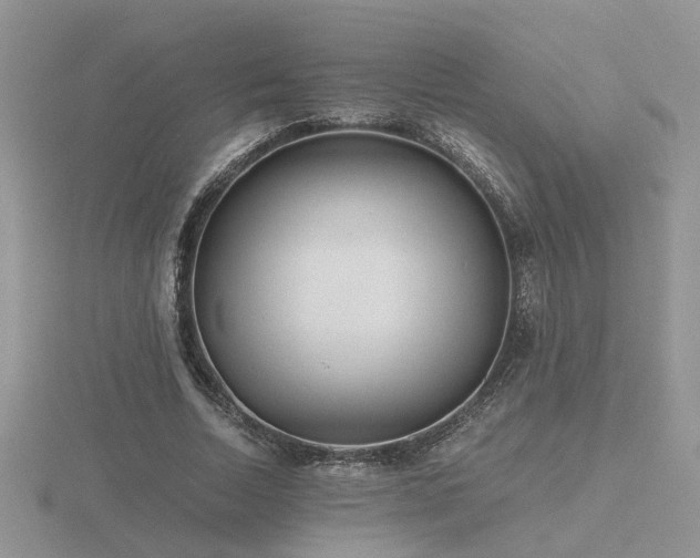 X0000116480730200912091359