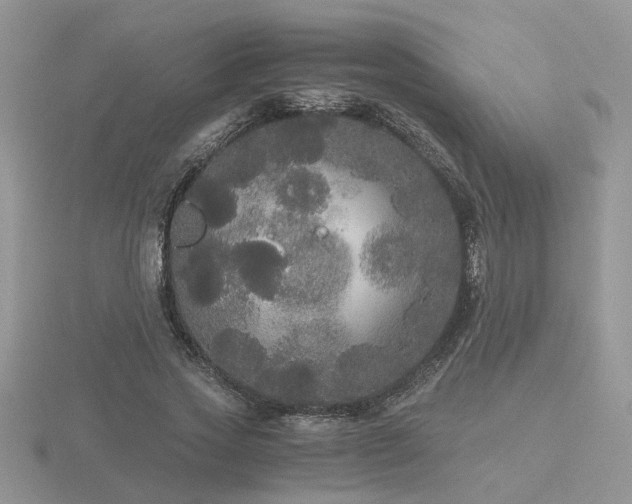 X0000116480733200912091359