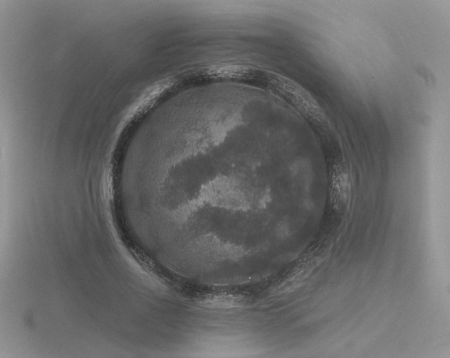 X0000116480734200912091359