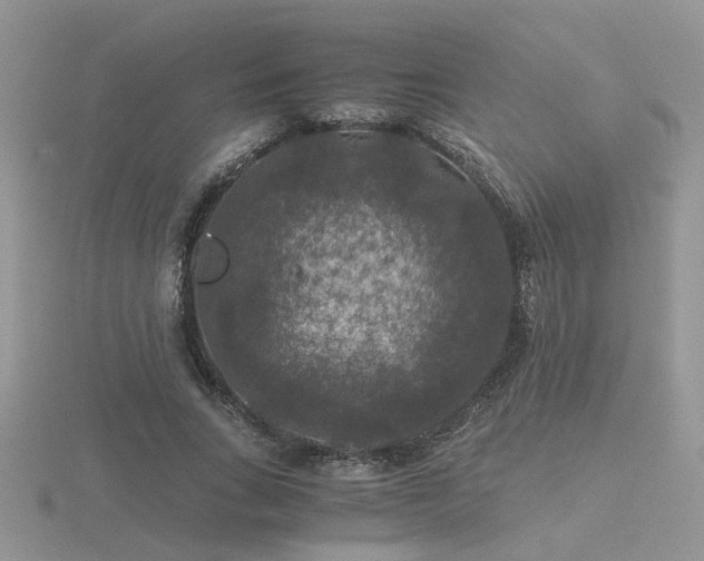 X0000116480735200912091359