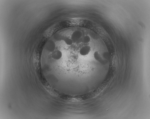 X0000116480737200912091359