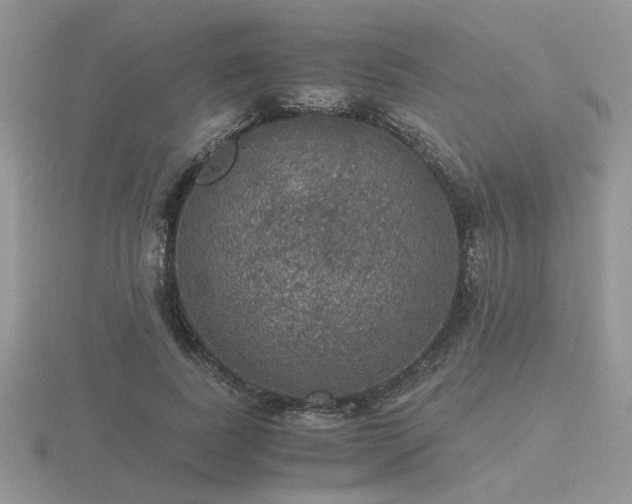 X0000116480739200912091359