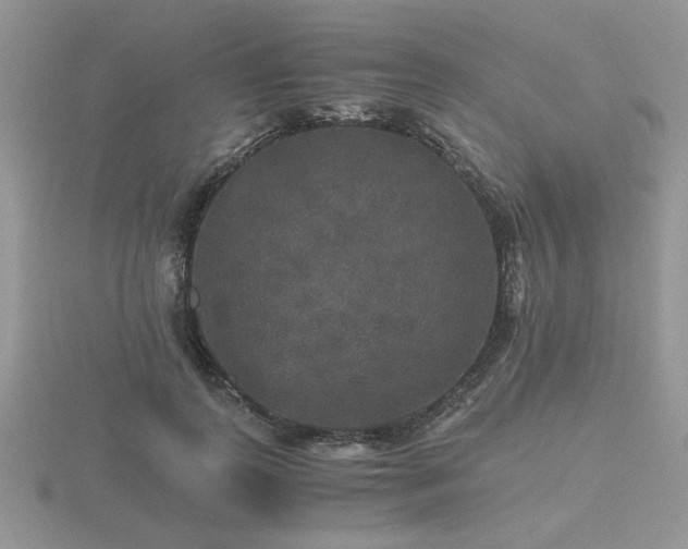 X0000116480747200912091359