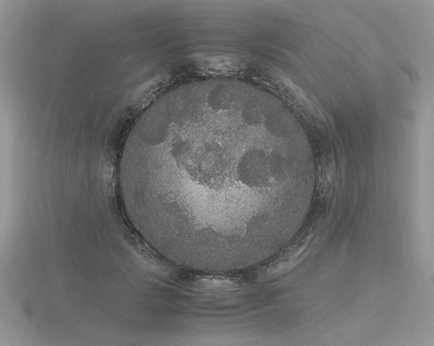 X0000116480749200912091359