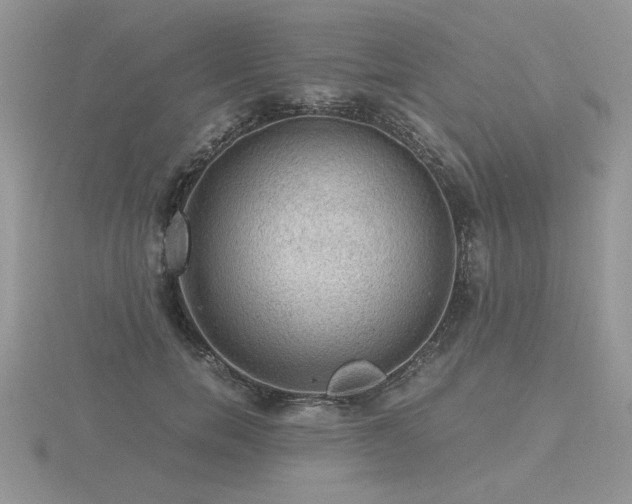 X0000116480750200912091359