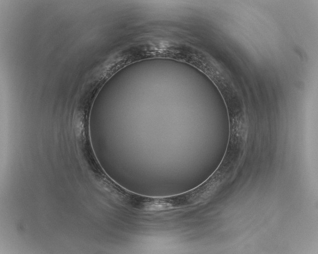 X0000116480754200912091400