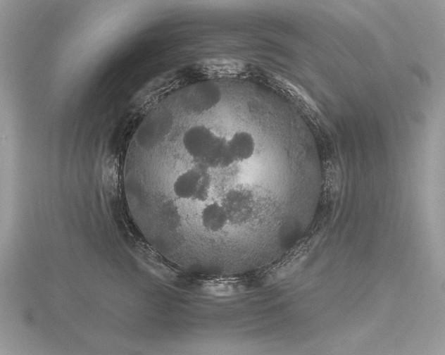 X0000116480761200912091400