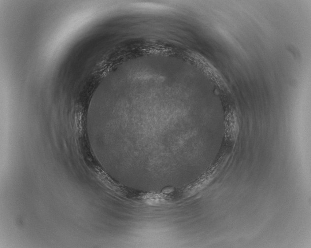 X0000116480762200912091400