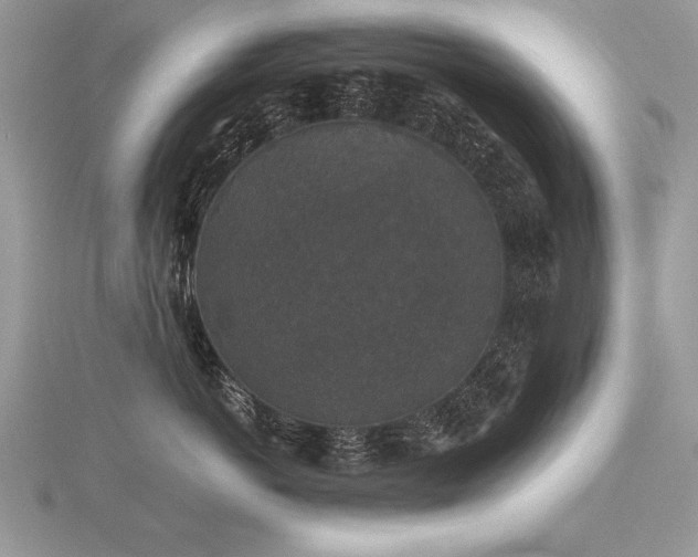 X0000116480766200912091400