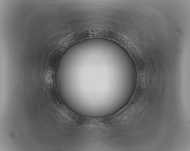 X0000116480770200912091359