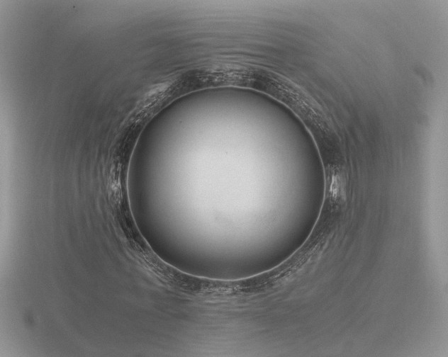 X0000116480771200912091359