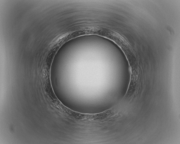 X0000116480773200912091359