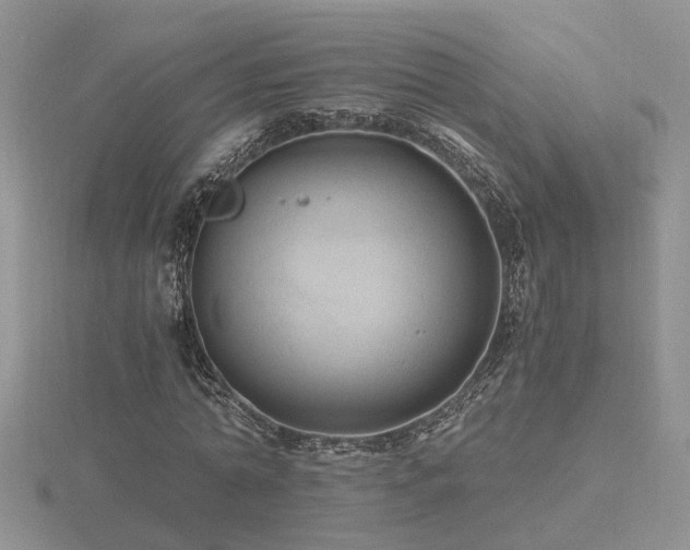 X0000116480774200912091359