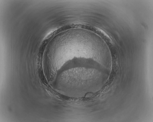 X0000116480775200912091359