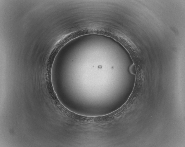 X0000116480776200912091359