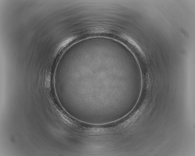 X0000116480777200912091359