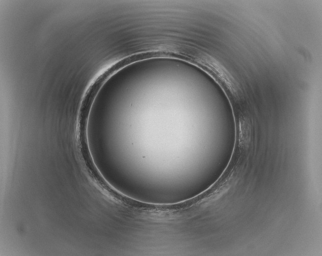 X0000116480780200912091359