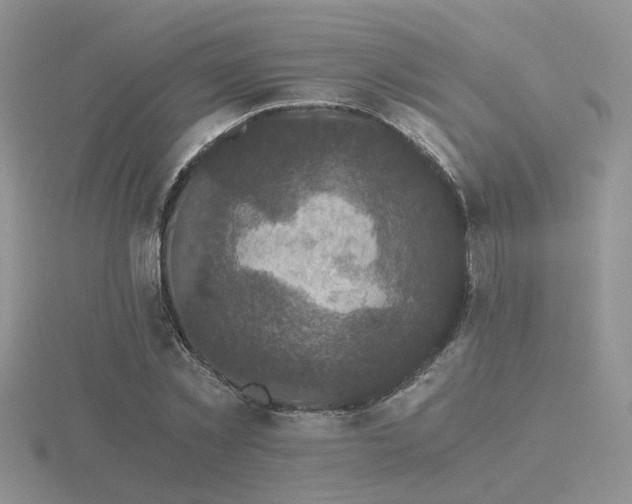 X0000116480781200912091359