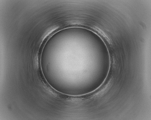 X0000116480782200912091359