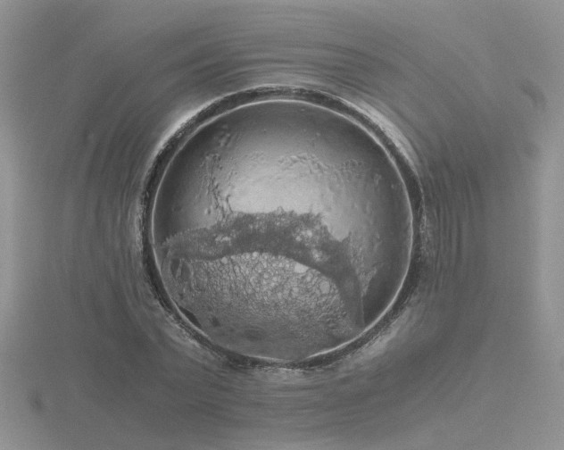 X0000116480783200912091359