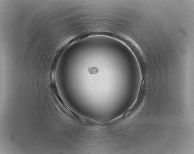 X0000116480785200912091359