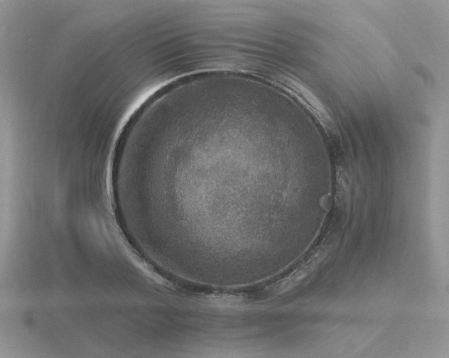 X0000116480788200912091359