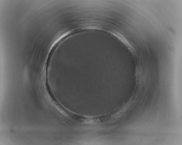 X0000116480790200912091359