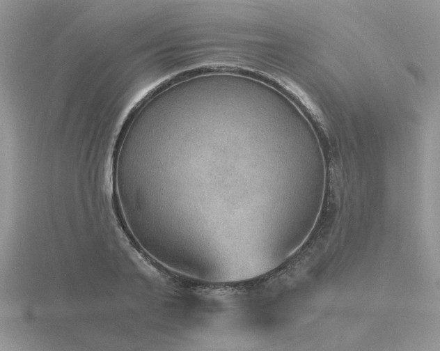 X0000116480791200912091359