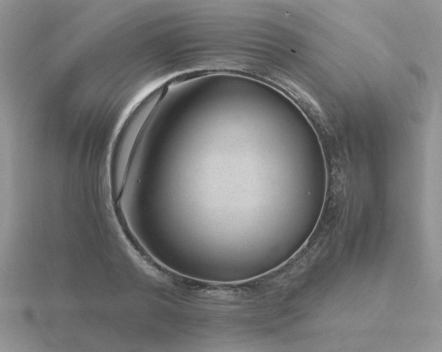 X0000116480792200912091359