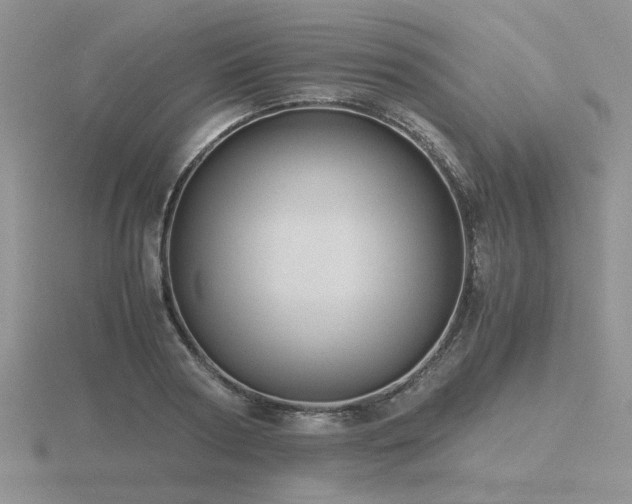 X0000116480794200912091359