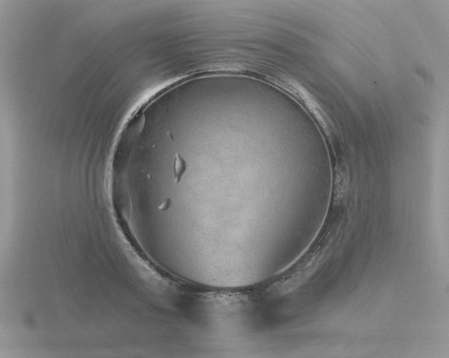 X0000116480795200912091359