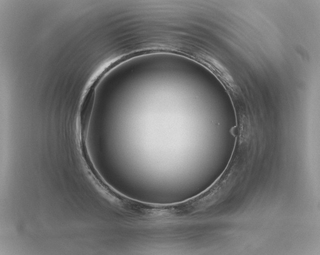 X0000116480796200912091359