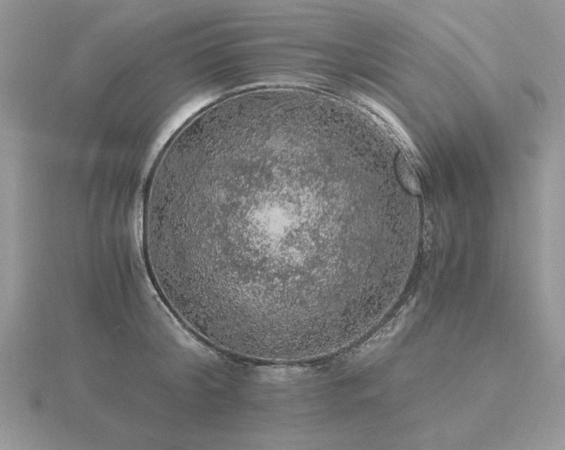 X0000116480804200912091359