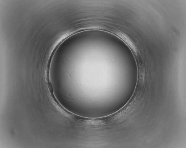 X0000116480805200912091359