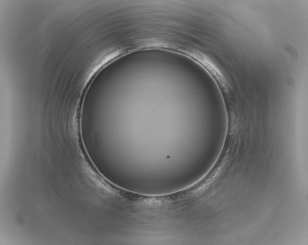 X0000116480806200912091359