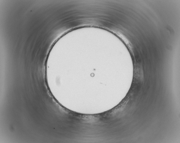 X0000116480807200912091359