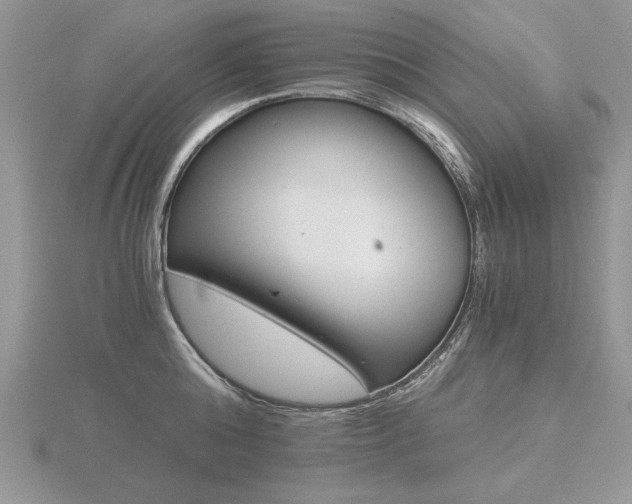 X0000116480808200912091359