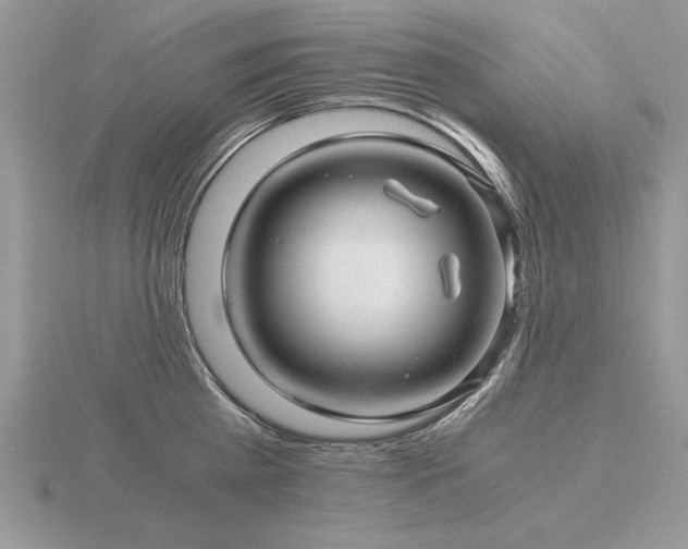 X0000116480809200912091359