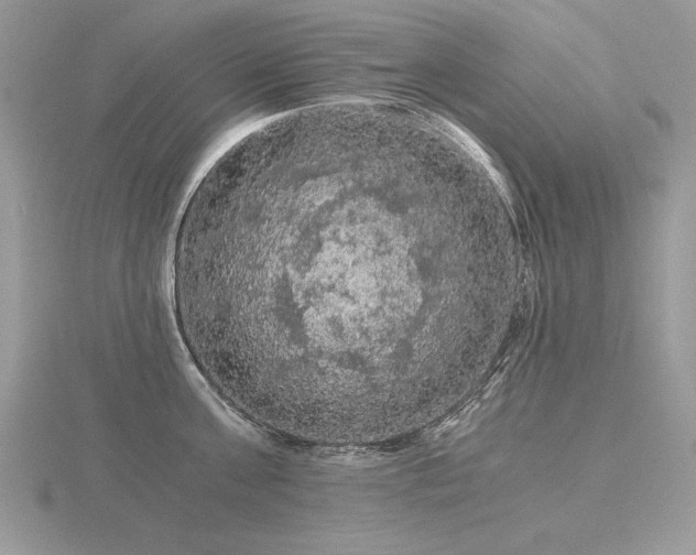 X0000116480811200912091359