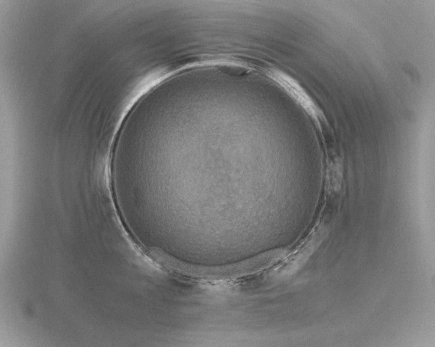 X0000116480813200912091359