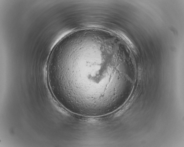 X0000116480814200912091359